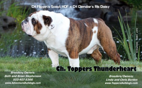 141132936.zuyLrPOc.Stephenson