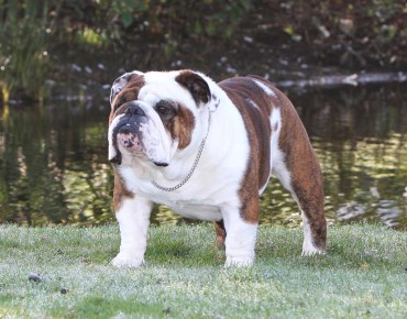 142545927.48Yqaphd.072014