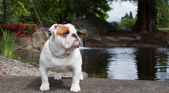 155730575.rGD5mZuP.IMG_3110