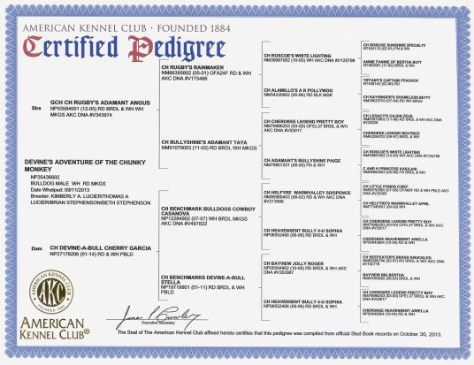 Yogi Pedigree Full Size